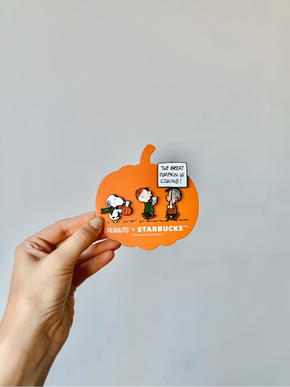 Starbucks Peanuts Pins